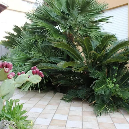 B&B Olimpo Le Torri