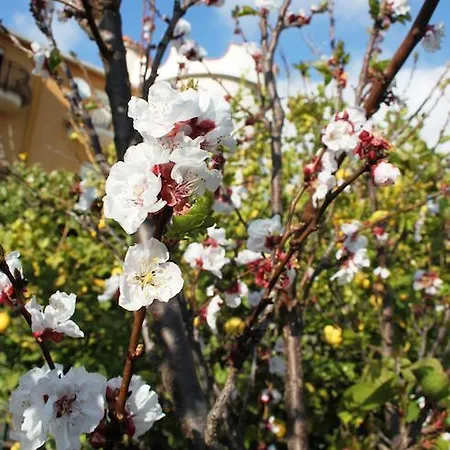 Olimpo Le Torri Bed & Breakfast 2*